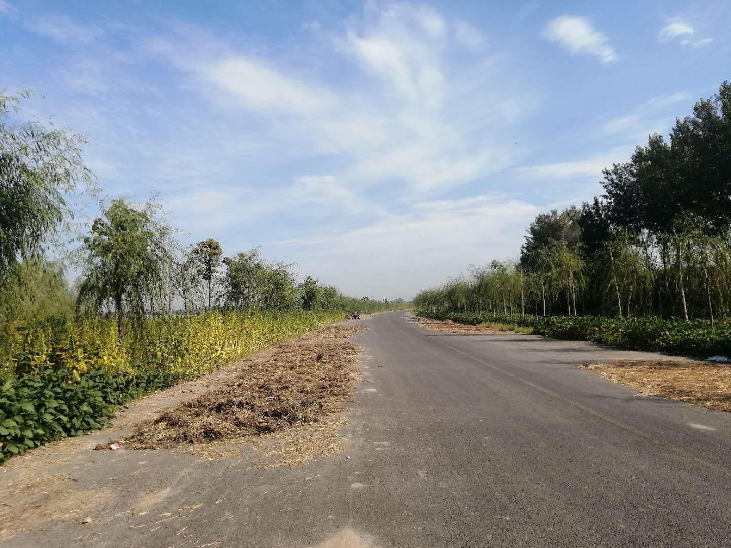 兰考县路面图片