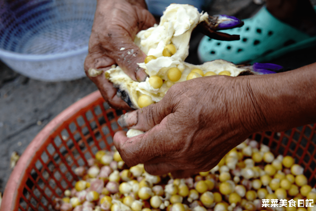 我也试了自己手剥鸡头米,真的,挺难的.