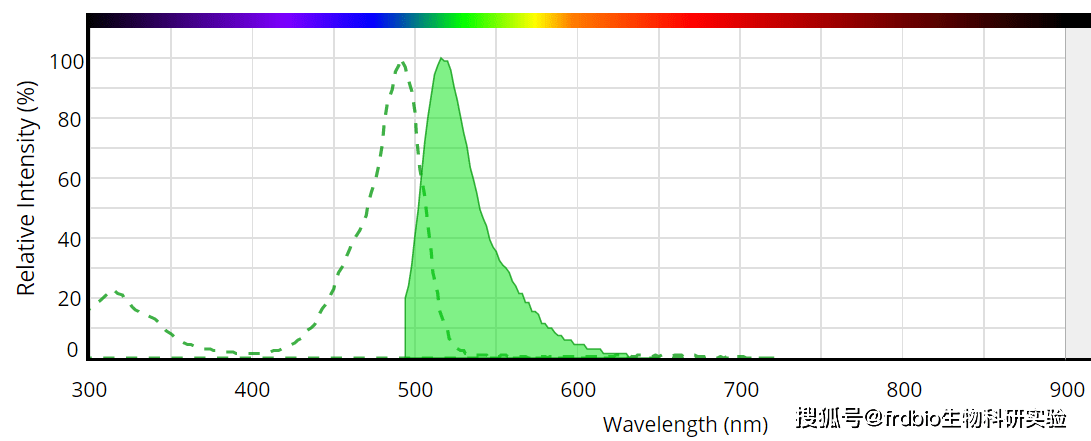 发射波长分别为491nm和516nm,它与抗体形成更特异的抗体荧光素结合物