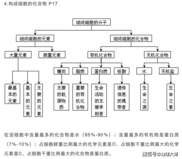 第二节:蛋白质