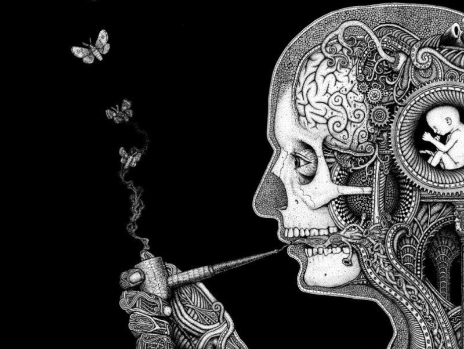 烟斗丨会带给我们怎样的慢生活?