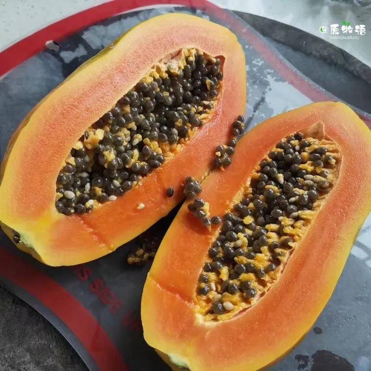 田原牧语│雷州木瓜,绵密爽滑,一口一口让你欲罢不能