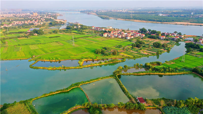 感受水乡田园之美