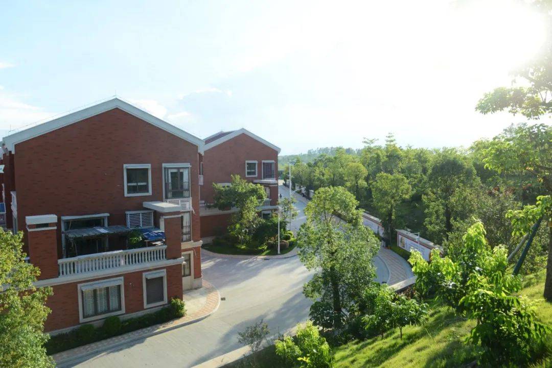 昔日贫困老村统一规划别墅成片丨小康生活幸福湛江