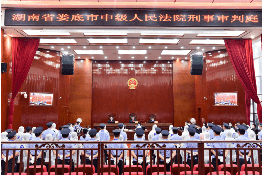 袁伟辉等30人涉黑案一审开庭_手机搜狐网