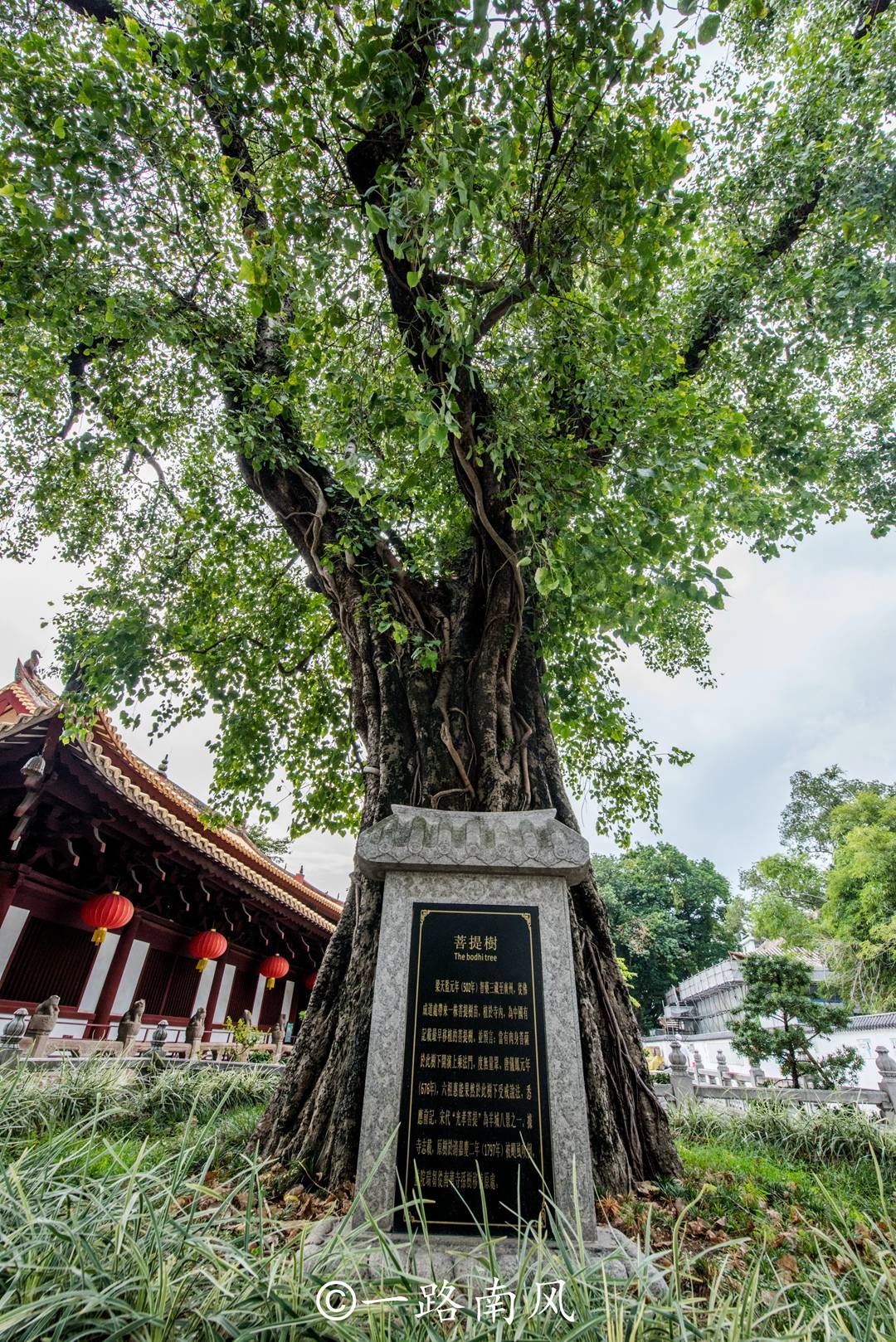 广州闹市里的千年古寺,内有中国最大最古老的铁塔,游客绕塔转圈
