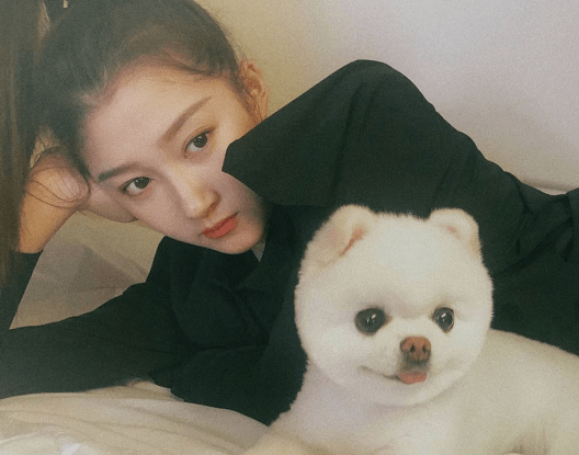 原创明星养宠物刘些宁乌龟宋茜养猪看到程潇胆子大