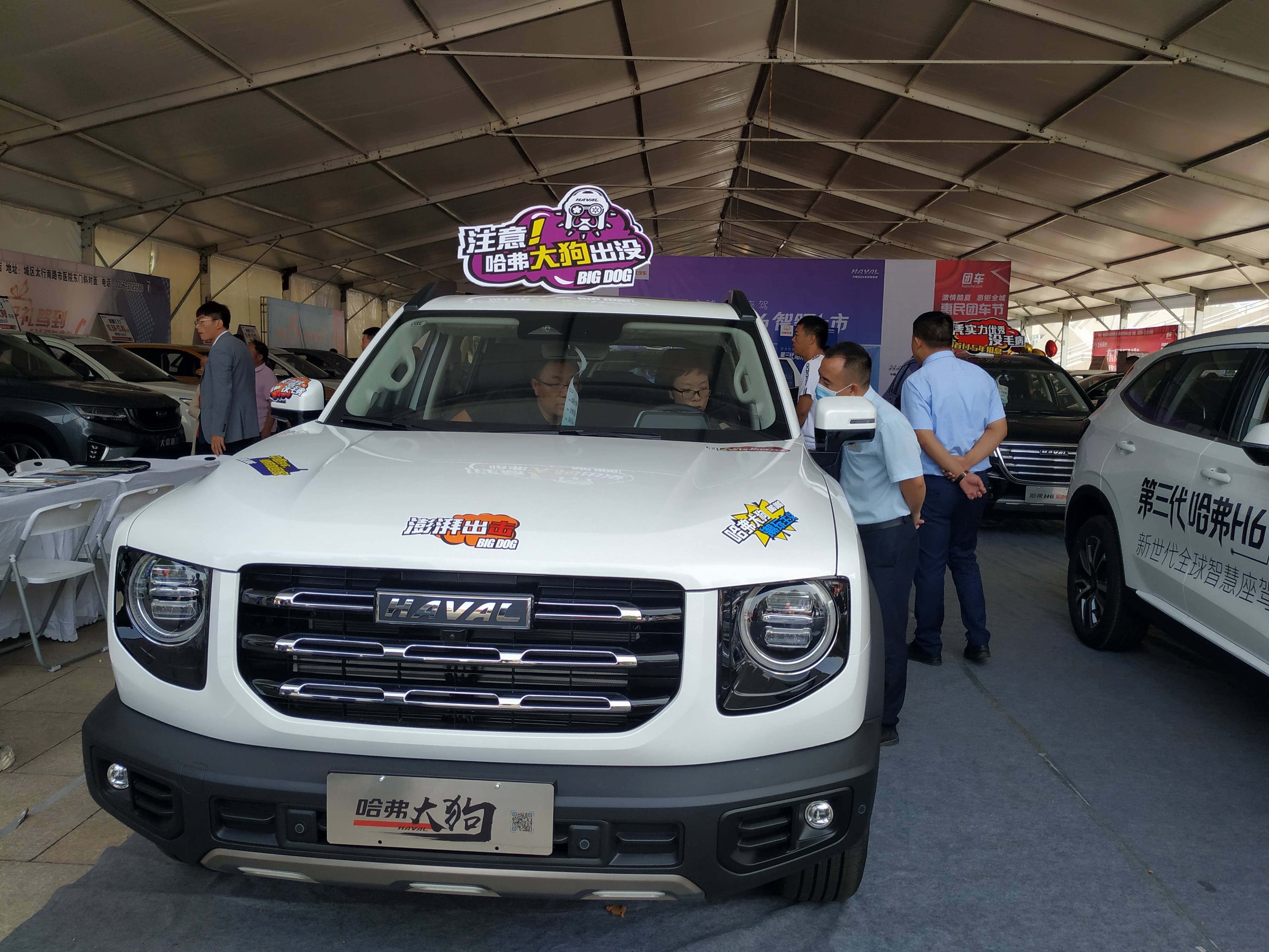 "遛狗"的路子不要太野,来万吉祥吧