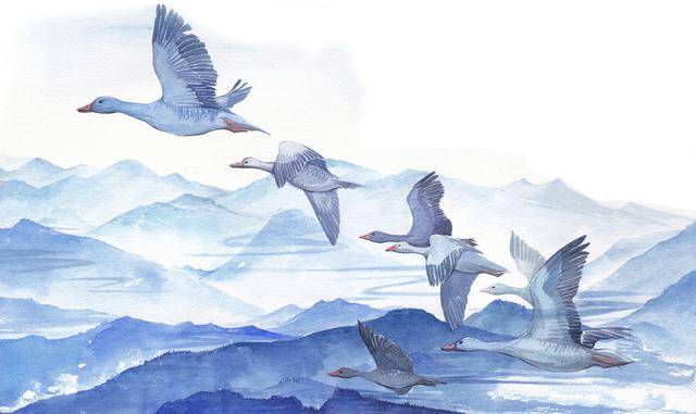 《水浒传》中大雁射不得!