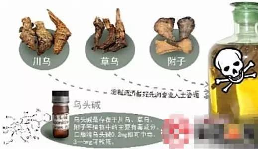 突发集体中毒!疑误食含乌头碱草乌,致1死13伤留院抢救