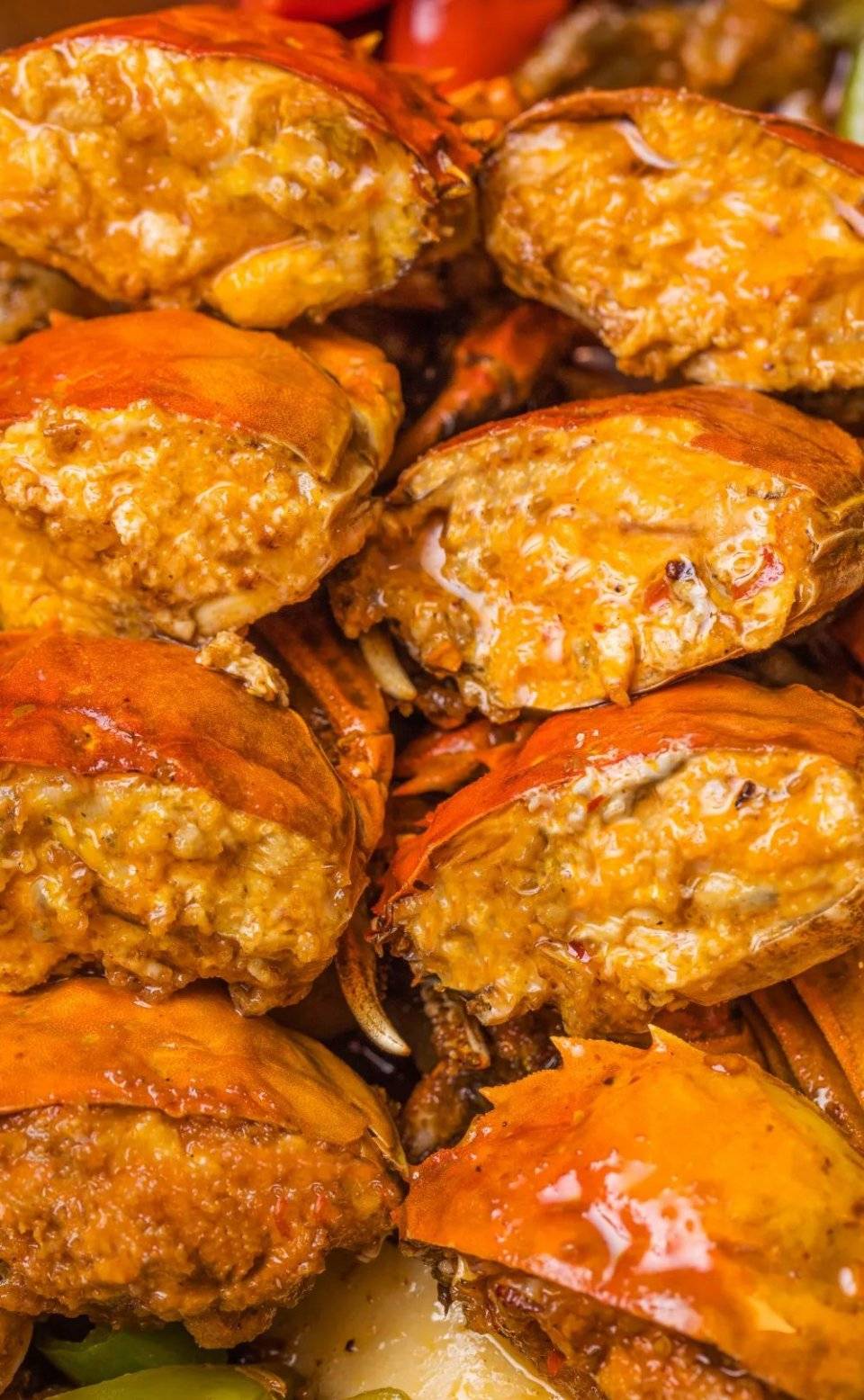 龙巢爆黄肥膏大闸蟹上线连续一个月38折