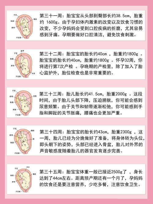 d2聚体与孕周对照表500图片