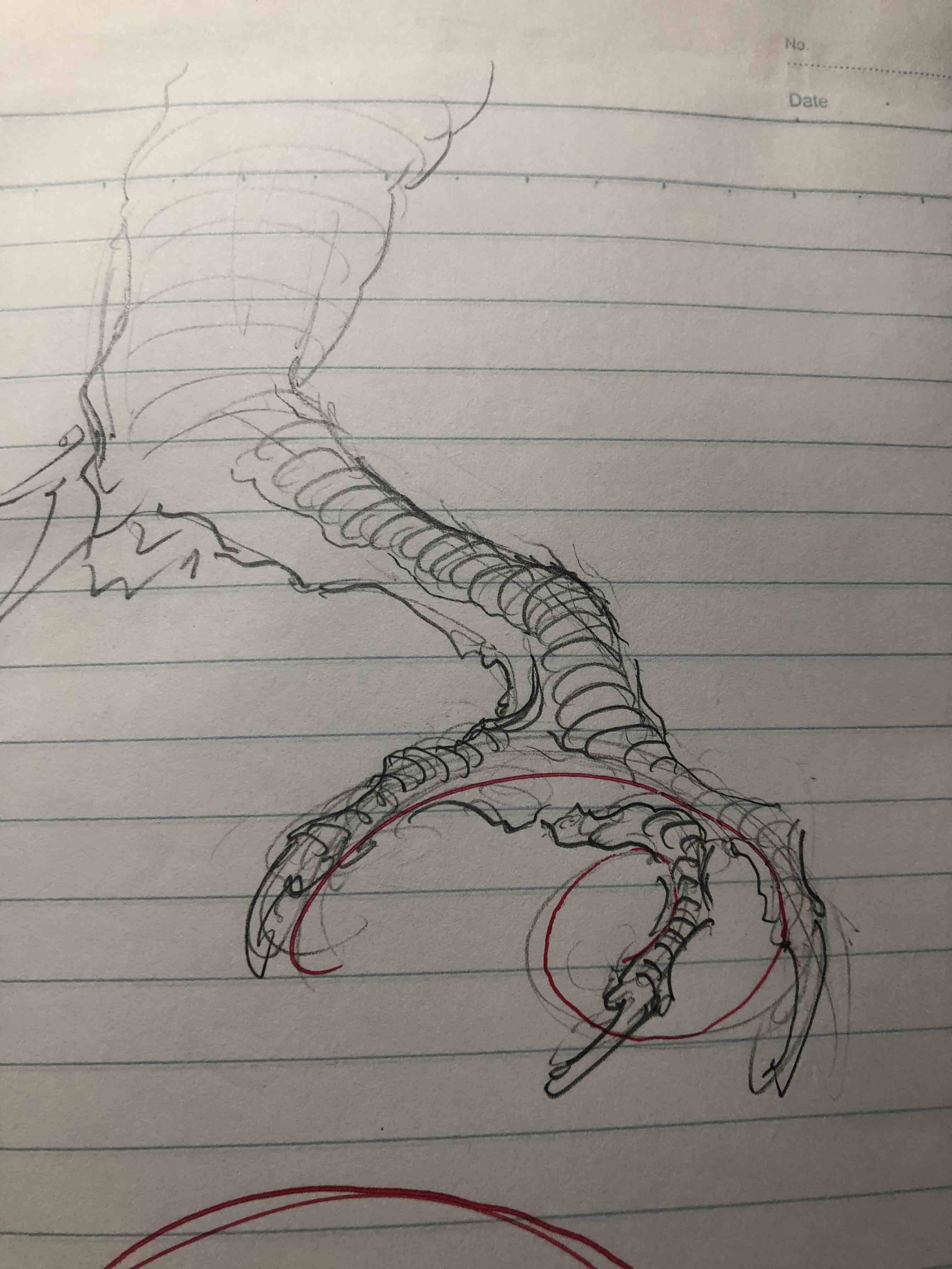 龙的爪子怎么画简笔画图片