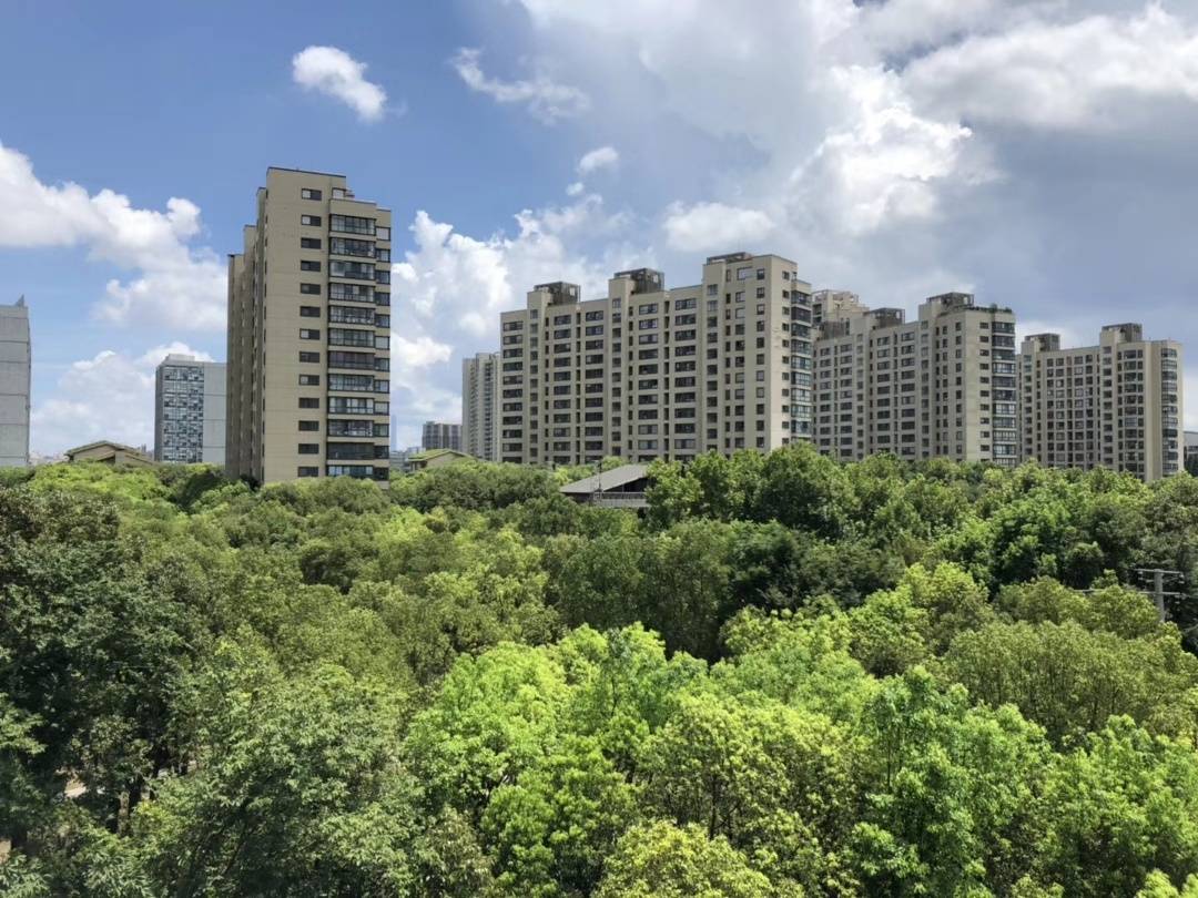 上海普陀区中鹰黑森林11号简介千万别被套路了大家进来聊聊个人