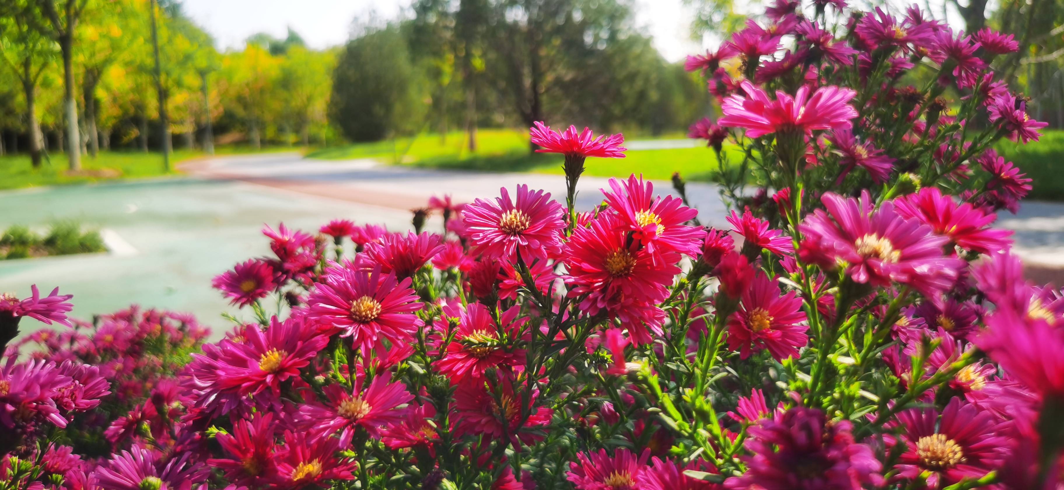 通州区京通辅路边上的永顺公园_手机搜狐网