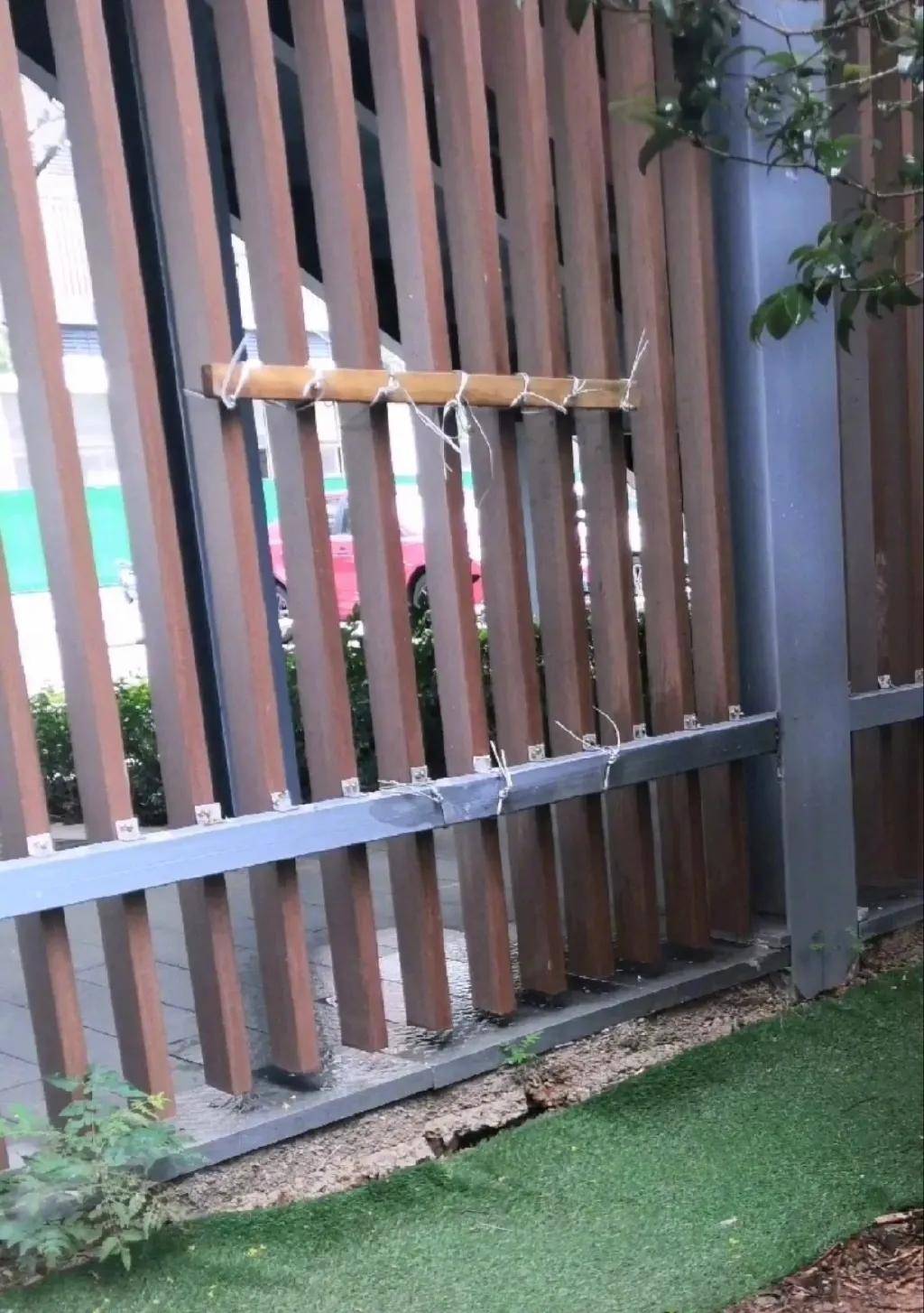 上厕所的时候突然被一个女生拉开门社会性死亡