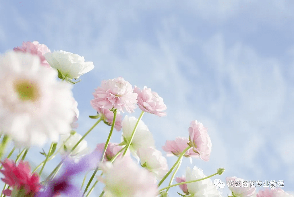2f05cbca4c144e18a6a8be674e445e66.png