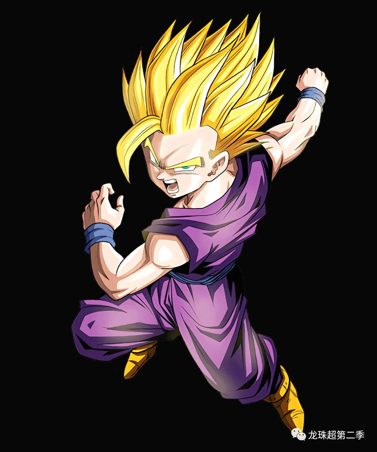 龙珠图集:悟饭专辑,最强潜力战士