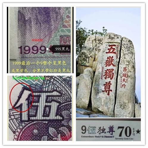 泰山币在普币市场更是一路绝骑,颇有"五岳独尊"之韵味