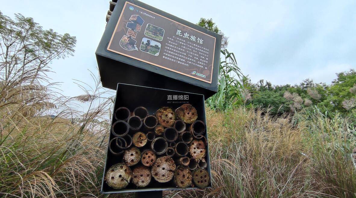 绵阳新增一处6000平米的自然科普教育中心,免费的!