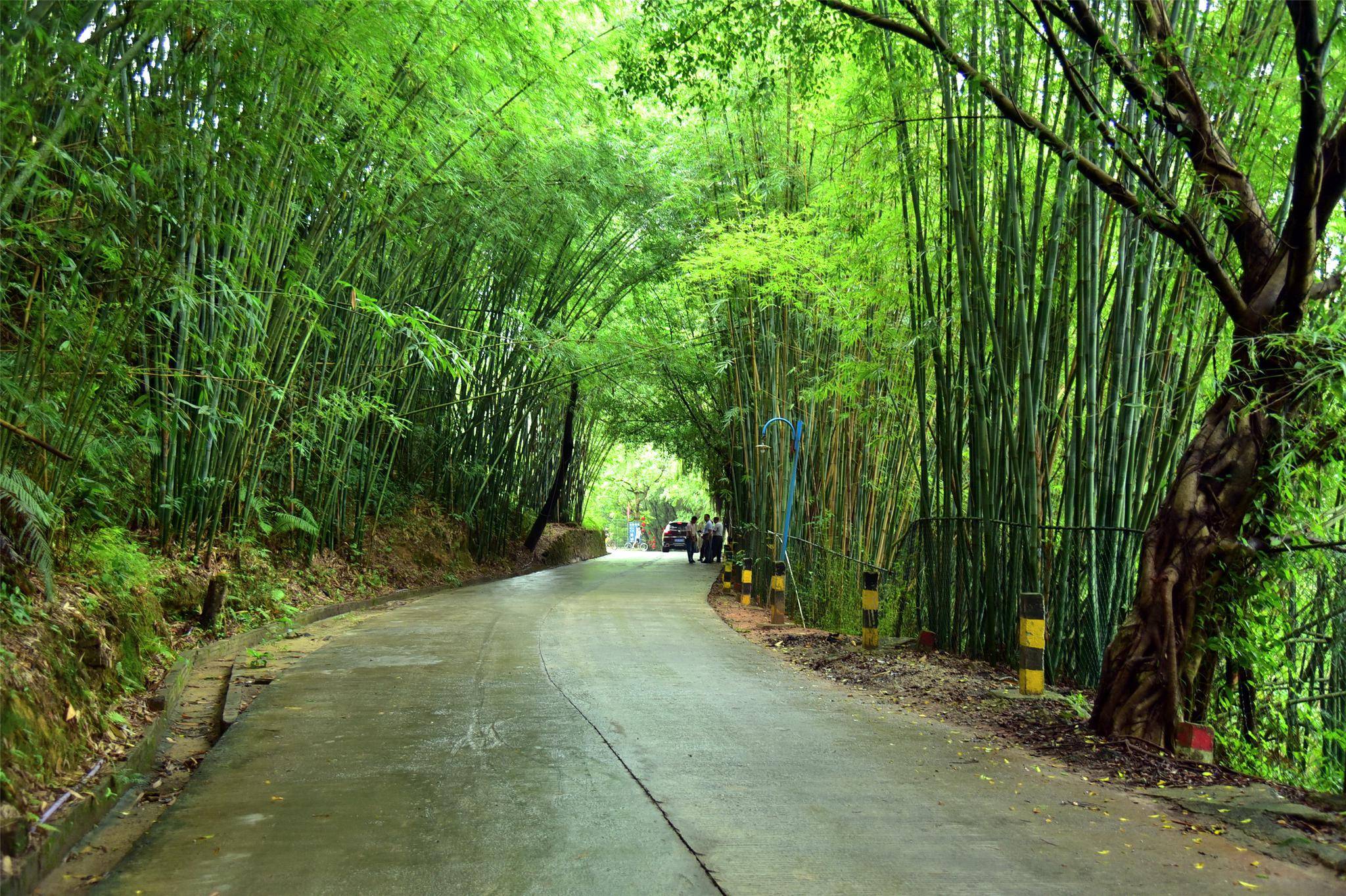 寻访肇庆广宁竹编的故事用双手编出致富路