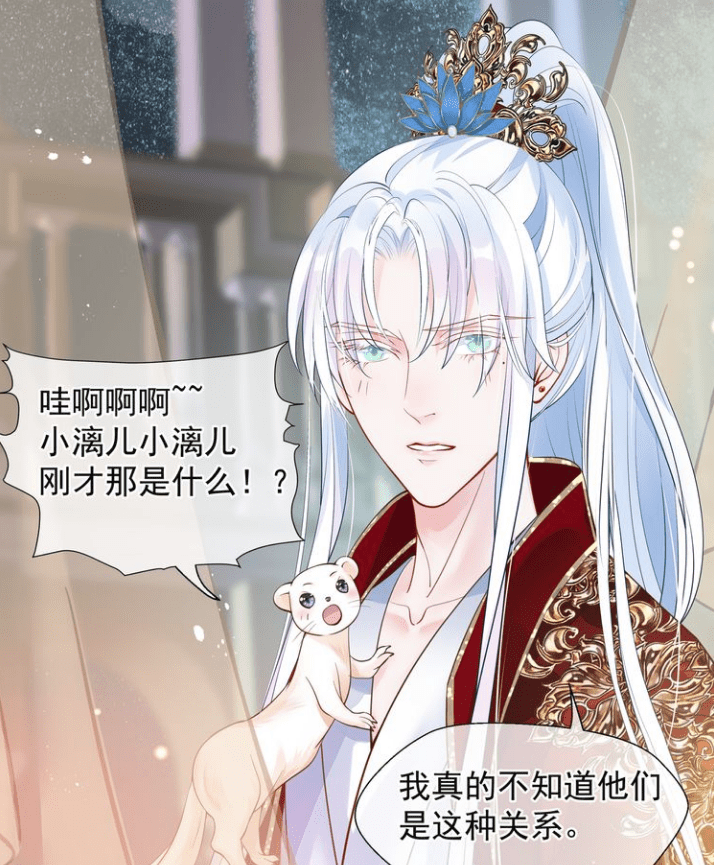 魔尊要抱抱:神帝其实很宠梵魈,小傻感情很真挚,八