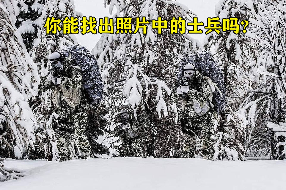 英国山地精锐穿迷彩服巡逻,几乎看不见_手机搜狐网