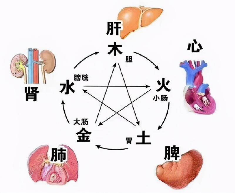 《黄帝内经》论“痹病”及其意义，以“痹”为名的病证50余种_因素