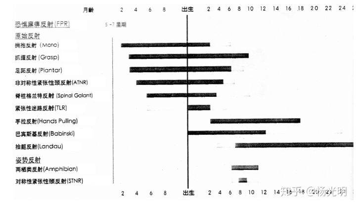 也称为爬行反射,stnr在出生后短暂出现,然后在六到九个月左右重新出现
