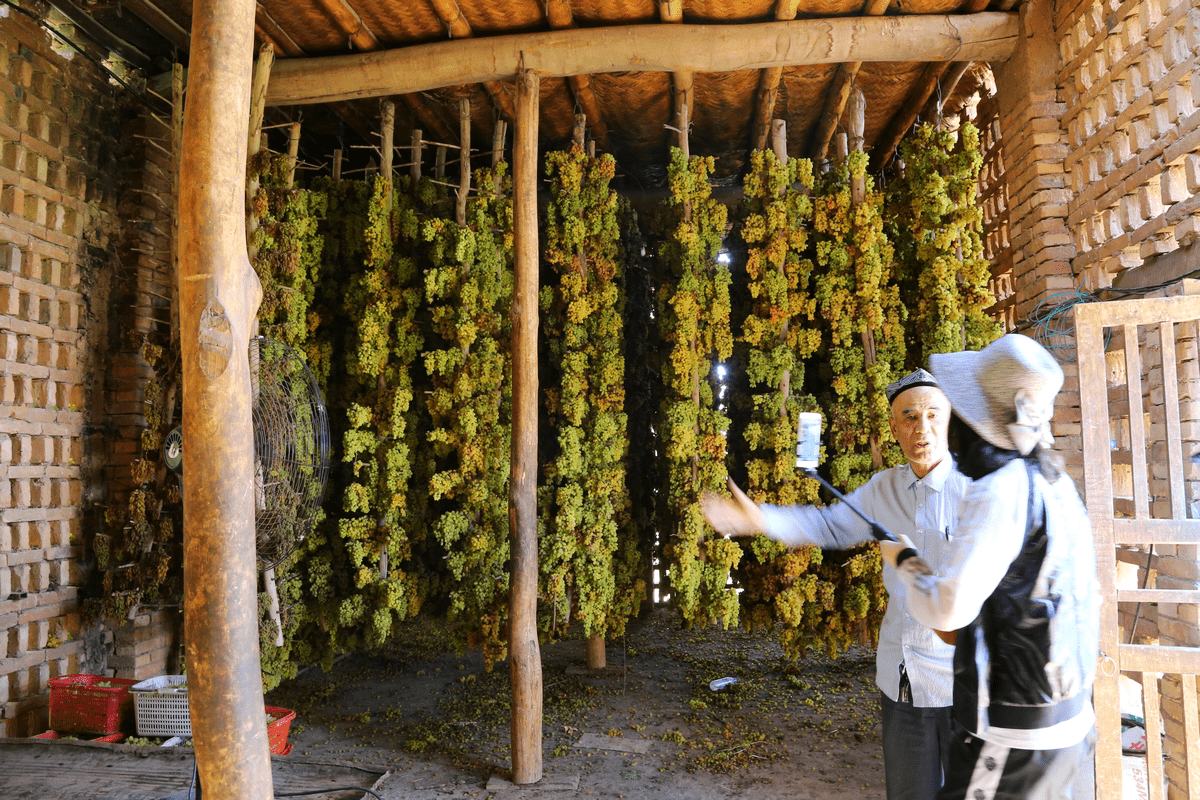 葡萄晾房不过,要感受火焰山的热,还是夏天最好,地表温度可达80度以上.