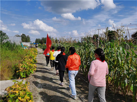 寻访小康路争做小先锋海安市南莫镇沙岗小学寻访小队寻访凤祥生态农庄