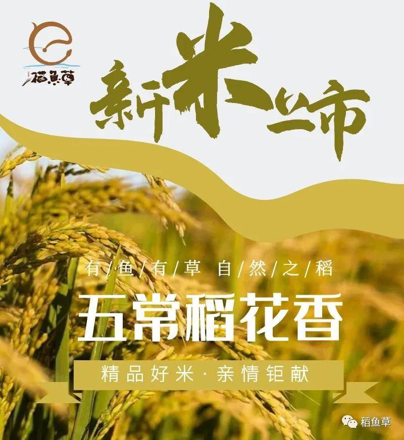 欢庆双节|新米上市 国庆节前就能吃到2020年新米_手机搜狐网
