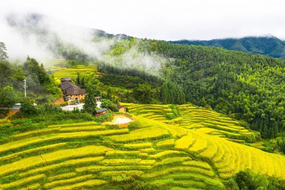 守护上堡梯田 守护田园老家