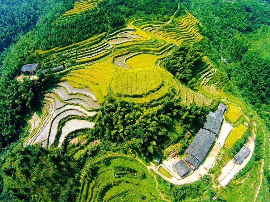 國內最美梯田風景江西遂川桃源梯田