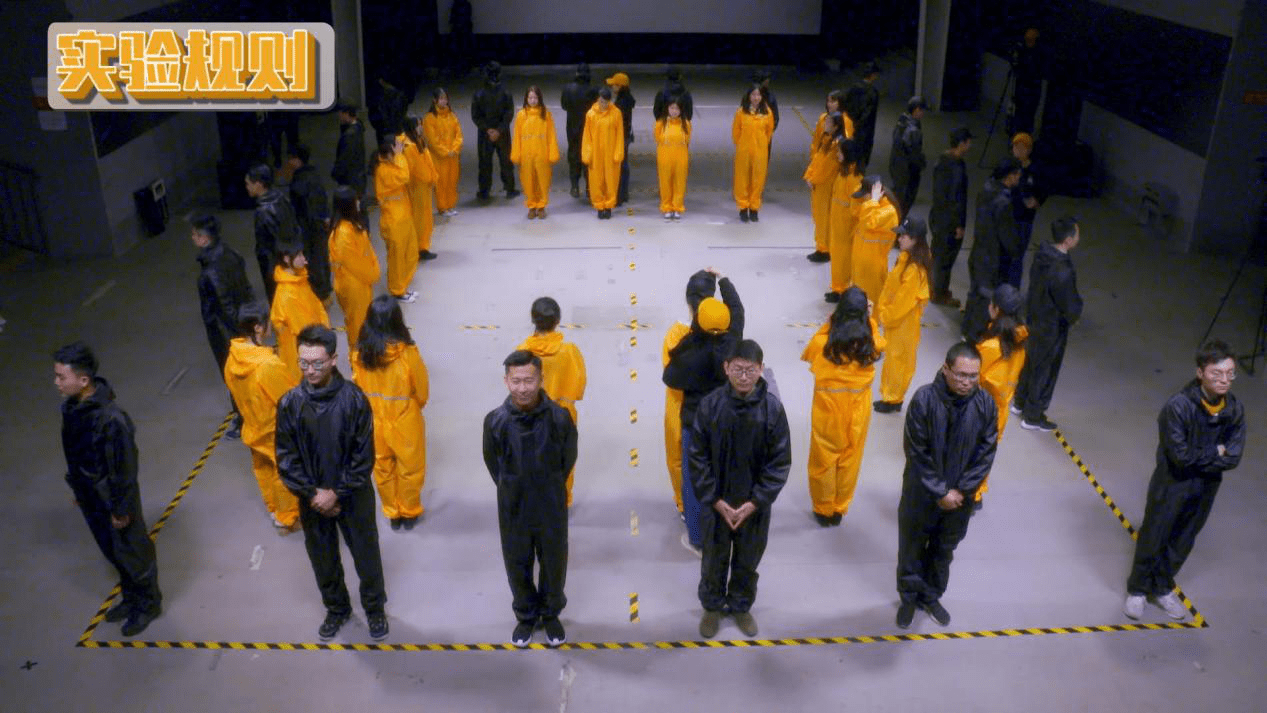 以实验抗击焦虑 茶妈妈小青柑《幸福实验室》收官口碑爆棚