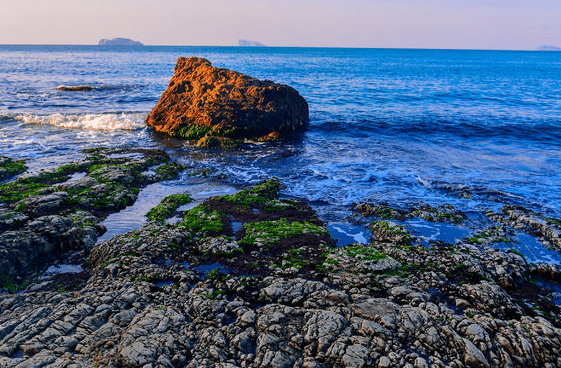 石砾滩 对于兔子来说很新奇这里的沙砾同样圆润不同的是有好几种颜色
