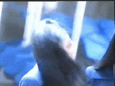 张庭夫妇斥巨资买上海整栋楼:被骂18年,她却活成百亿阔太? 张庭夫妇斥巨资买上海整栋楼:被骂18年,她却活成百亿阔太?