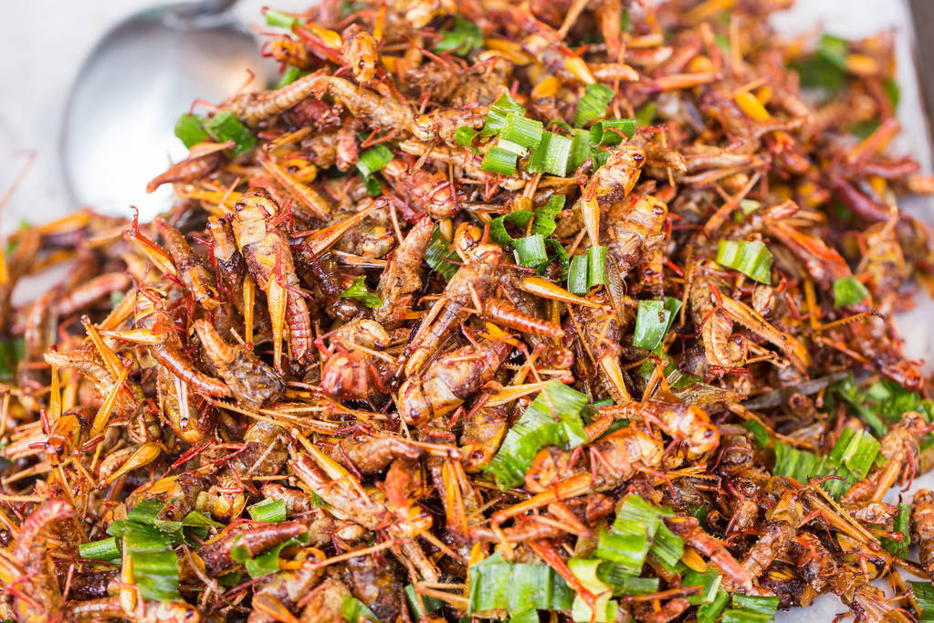 假如蝗虫真来了,这些馋到流口水的油炸美食,你会拒绝吗?