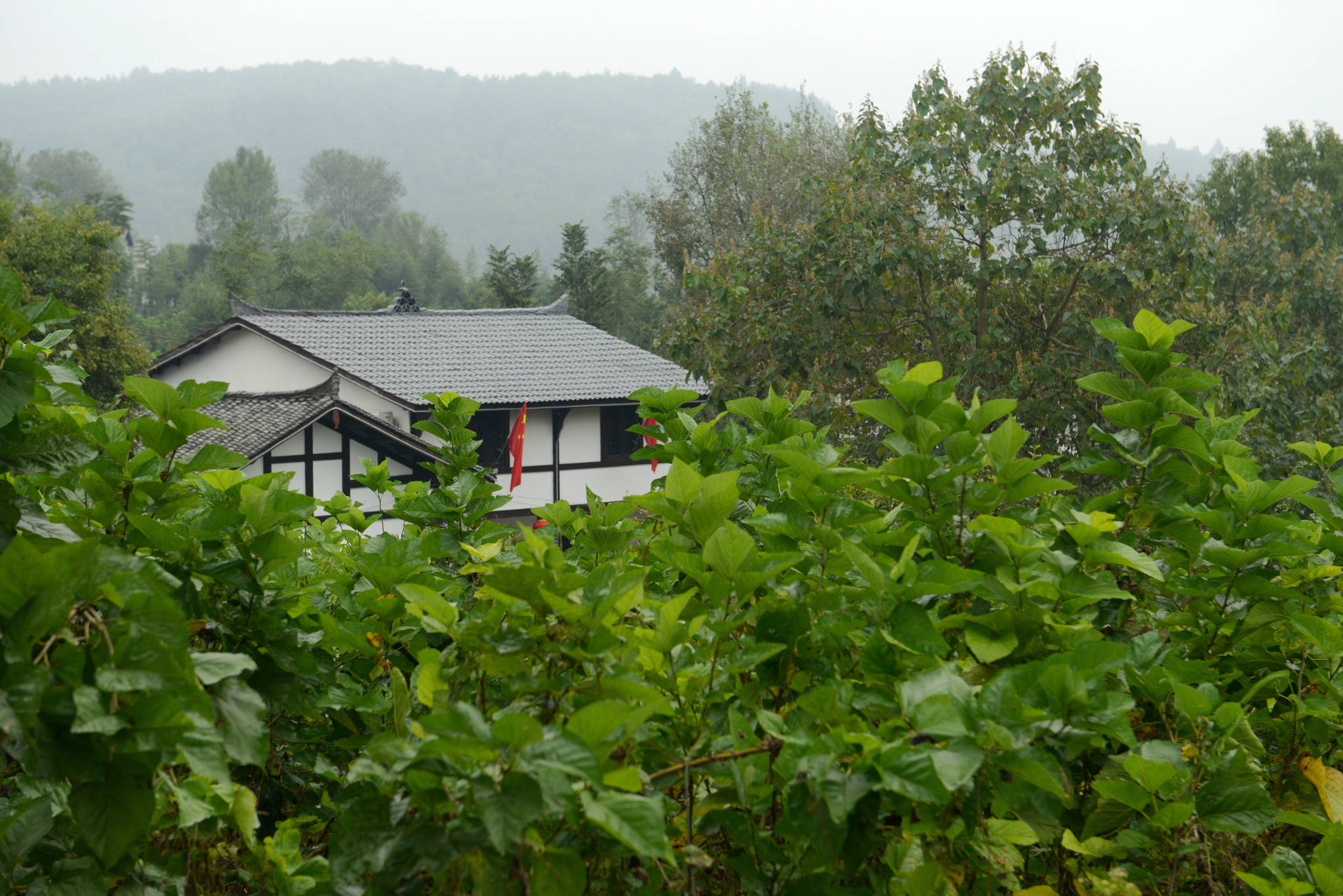 鎏金铜蚕出土地又增文旅网红打卡点,石泉沧海桑田乡村游今日开启