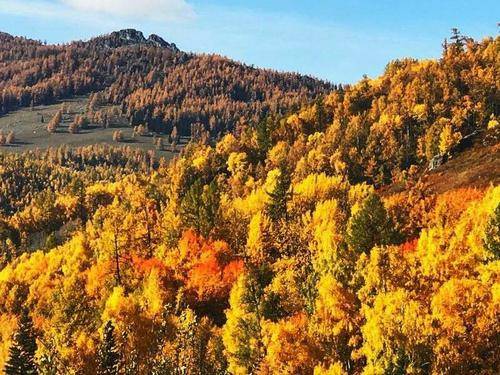 绿叶|曹林燕散文：秋天在十月安营扎寨