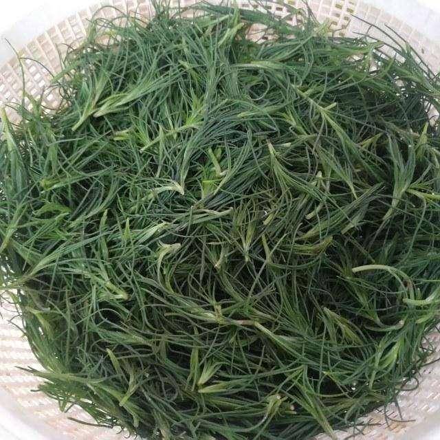 美国的风滚草,满大街的跑治不了?在我国是一道菜肴,全身是宝