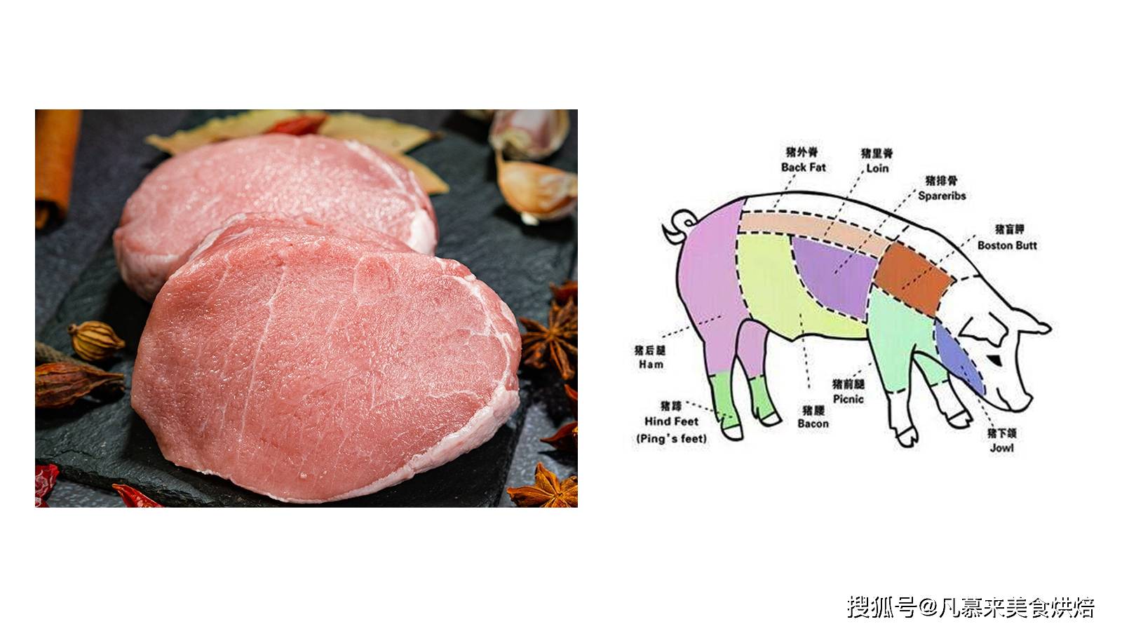 猪里脊肉怎么辨认求图图片
