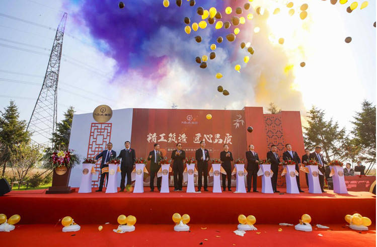 桃花源著【江南嘉年华】开盘盛典