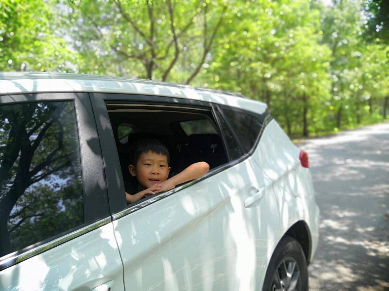 这时小家伙终于从车窗探出头来了,看他那个样,还挺会享受啊!