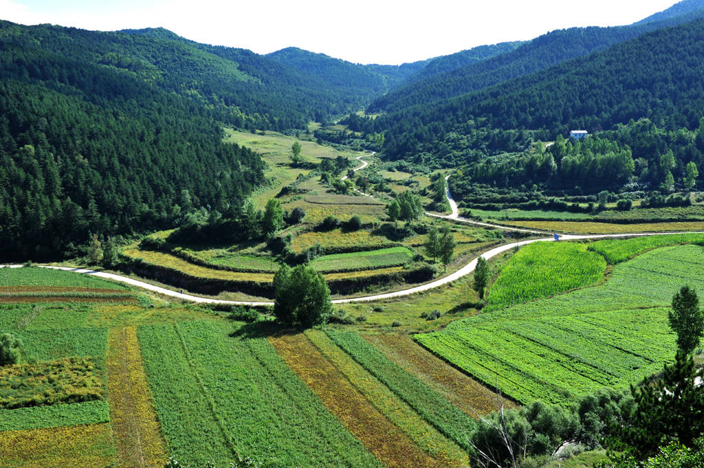 itc录播系统案例文水县实验中学