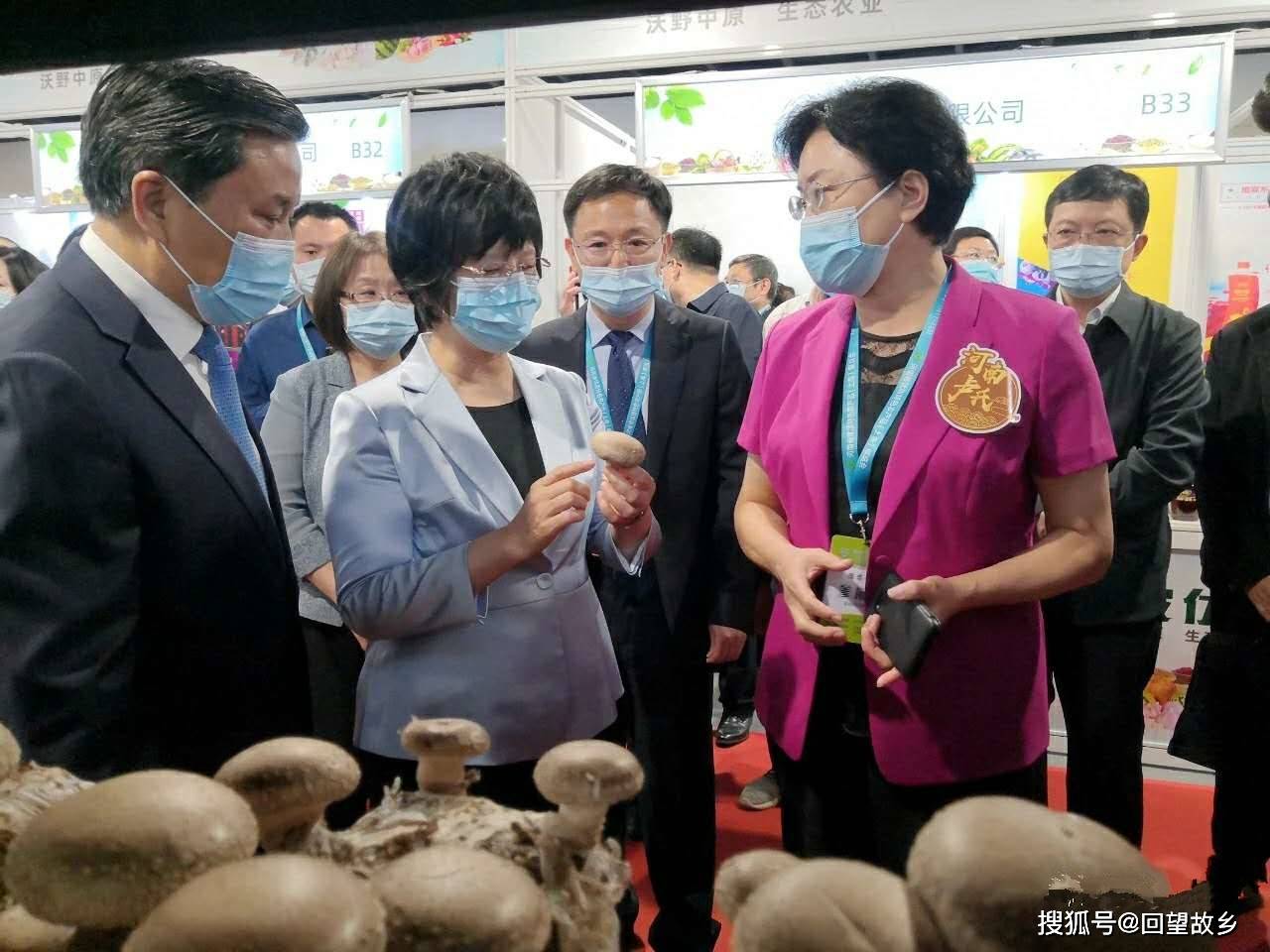 張曉燕帶隊參加河南省優質特色農產品(上海)展覽會_盧氏縣