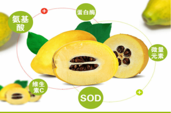 阳之南原材料金木瓜