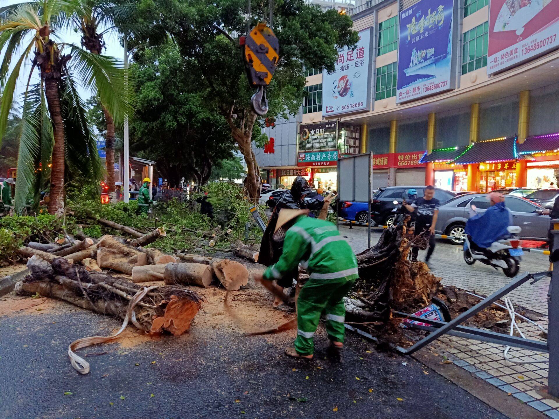 13日下午16时左右,大同路香港城段一棵大榕树被狂风吹倒,一名骑车路过