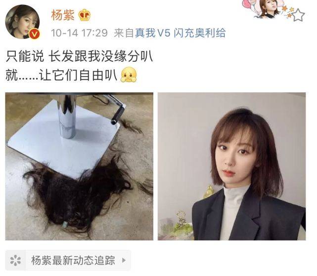 原创杨紫又剪短发跟一地碎发说没缘分自拍p图位置太有心
