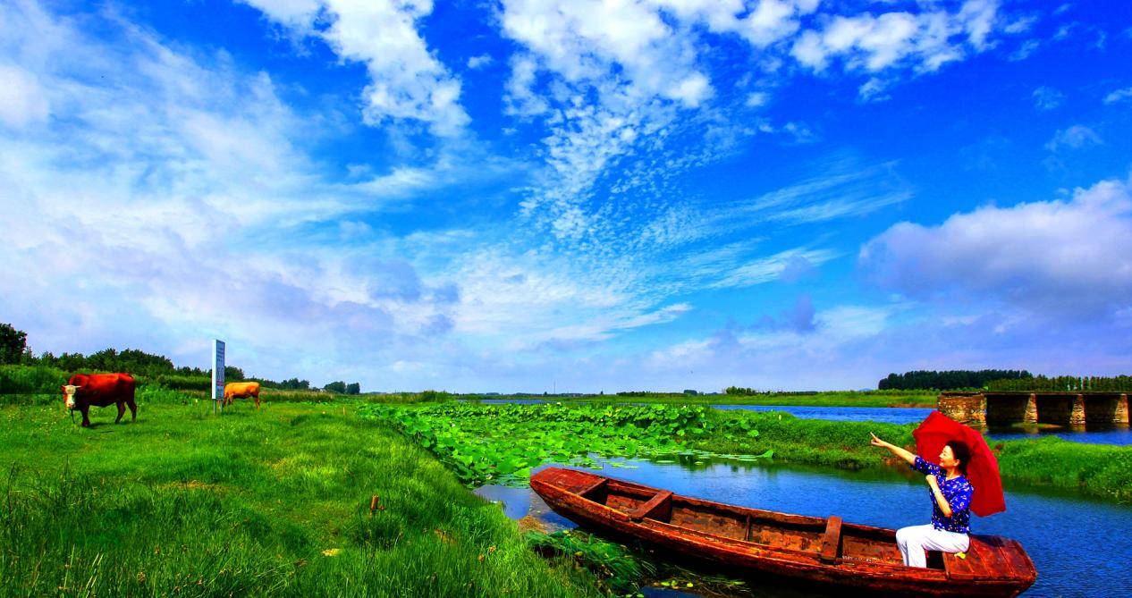 江苏睢宁姚集镇:8天20万人次500万元,乡村旅游收获丰